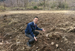 イノシシ被害の現地視察